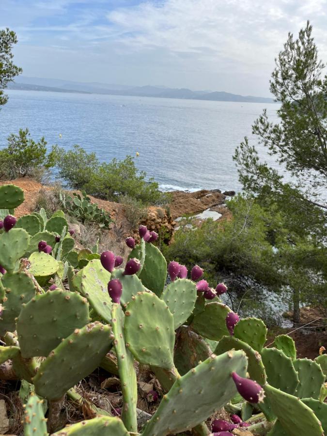 La Ciotat Vieux Port 2 Apartman Kültér fotó
